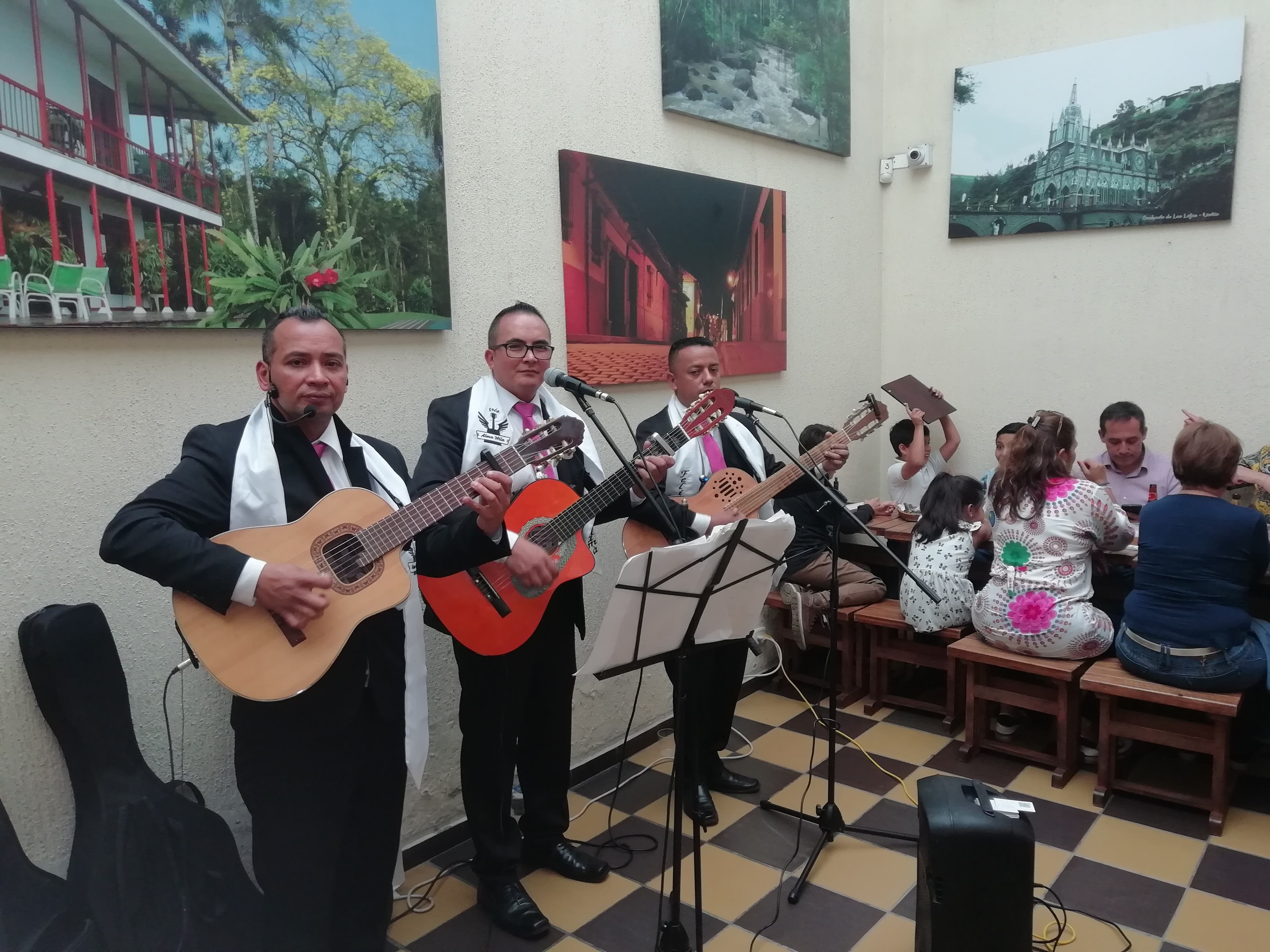 Serenatas de cuerda-Cumpleaños | serenatas de trio Bogotá