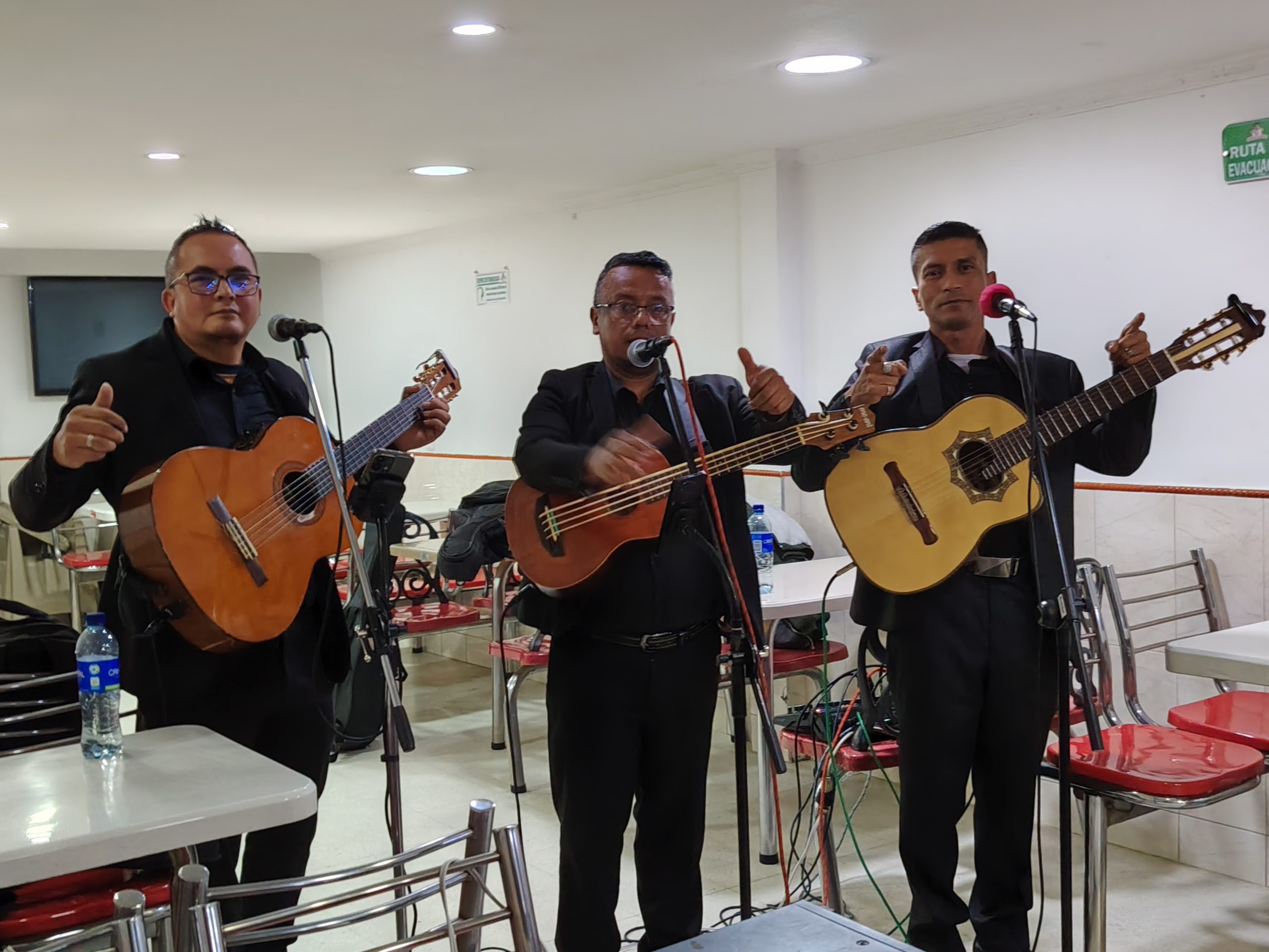 Serenatas De Trio En Bogota